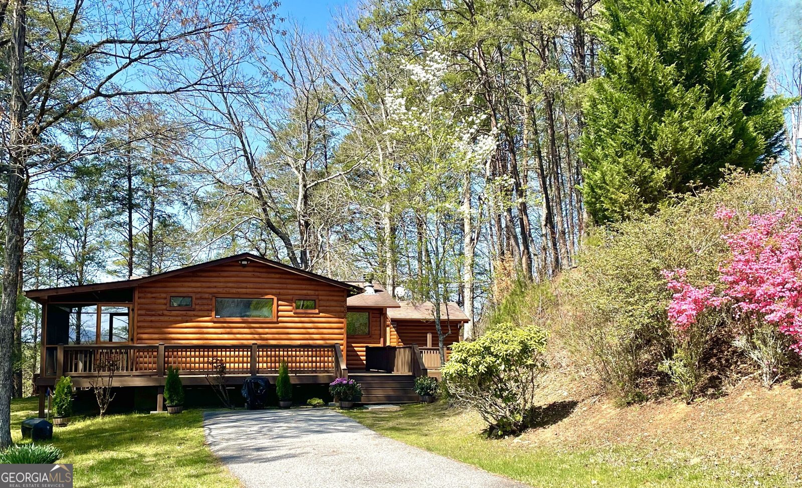 233 River Hills Road Mineral Bluff - 1