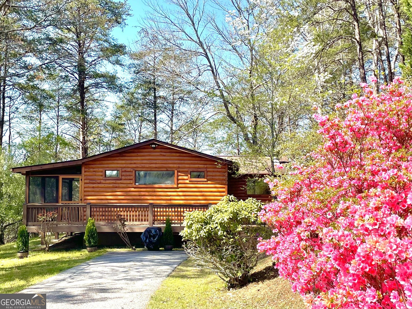 233 River Hills Road Mineral Bluff - 2