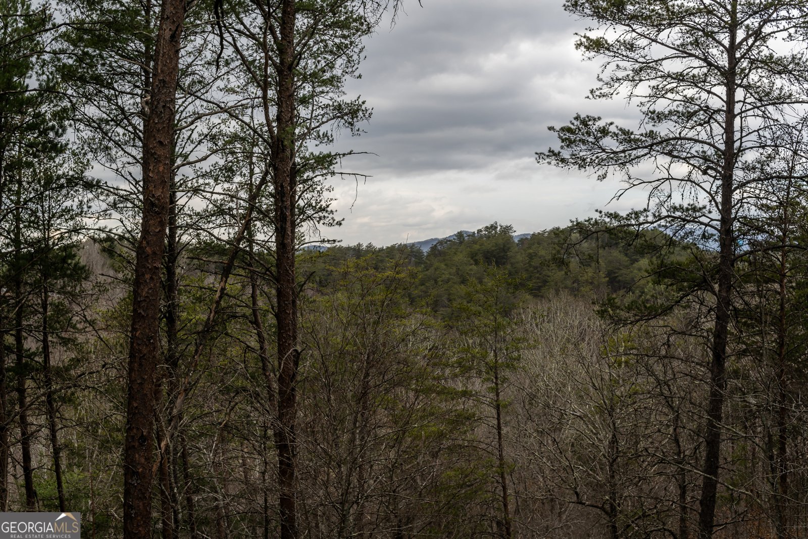 233 River Hills Road Mineral Bluff - 59