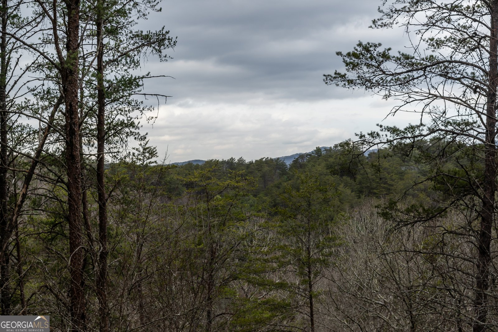 233 River Hills Road Mineral Bluff - 60