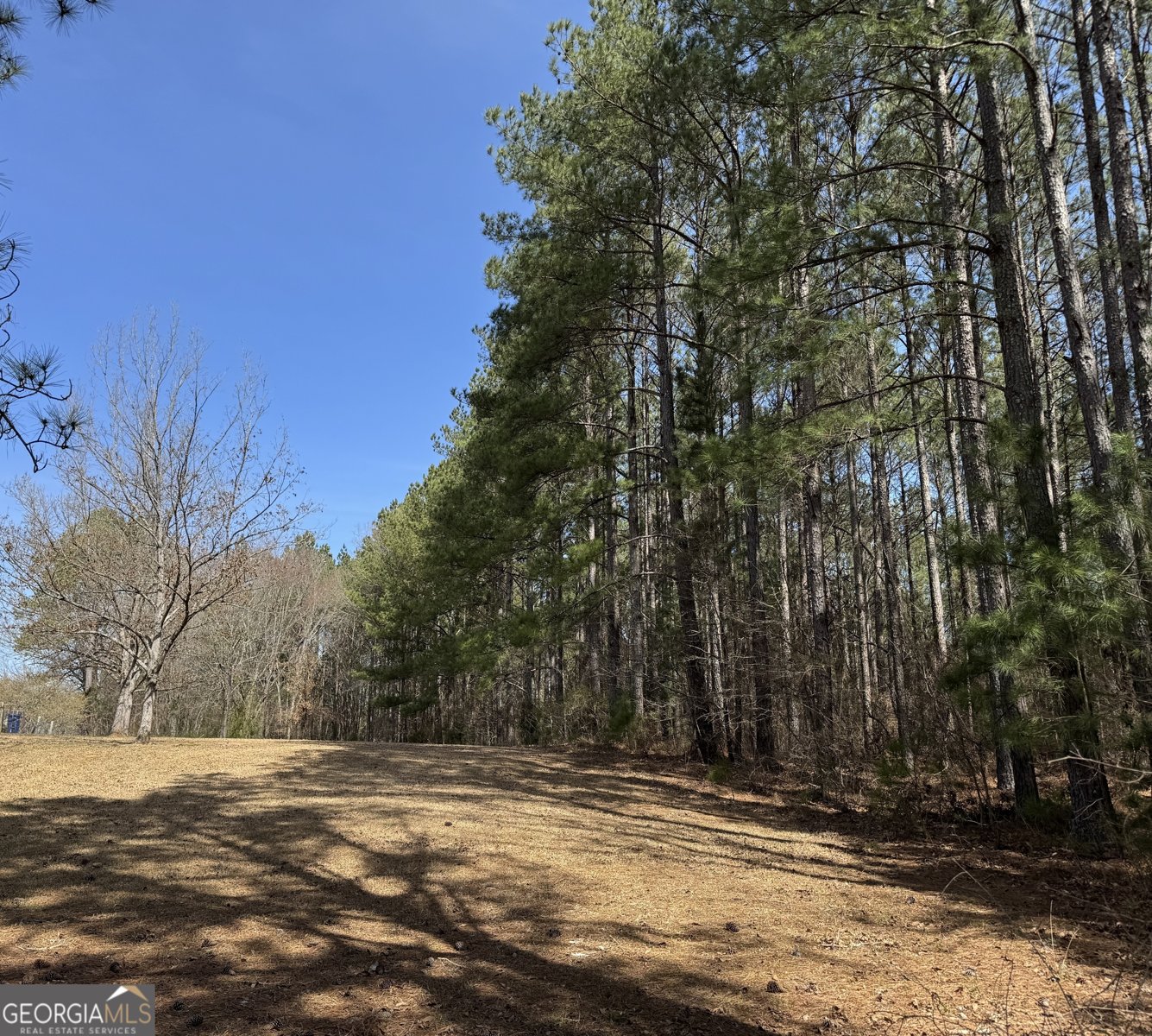 941 Wesley Chapel Road Lexington - 32