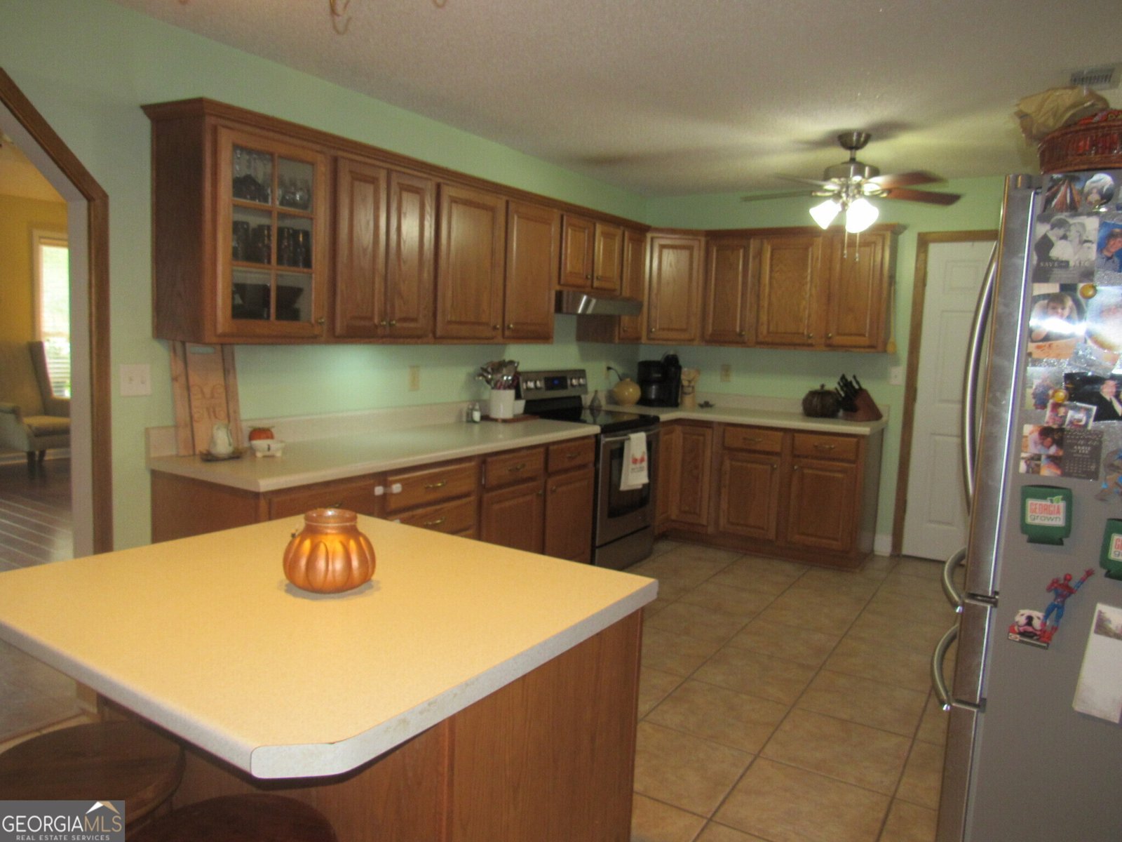 225 Lake Joy Road Perry - 10