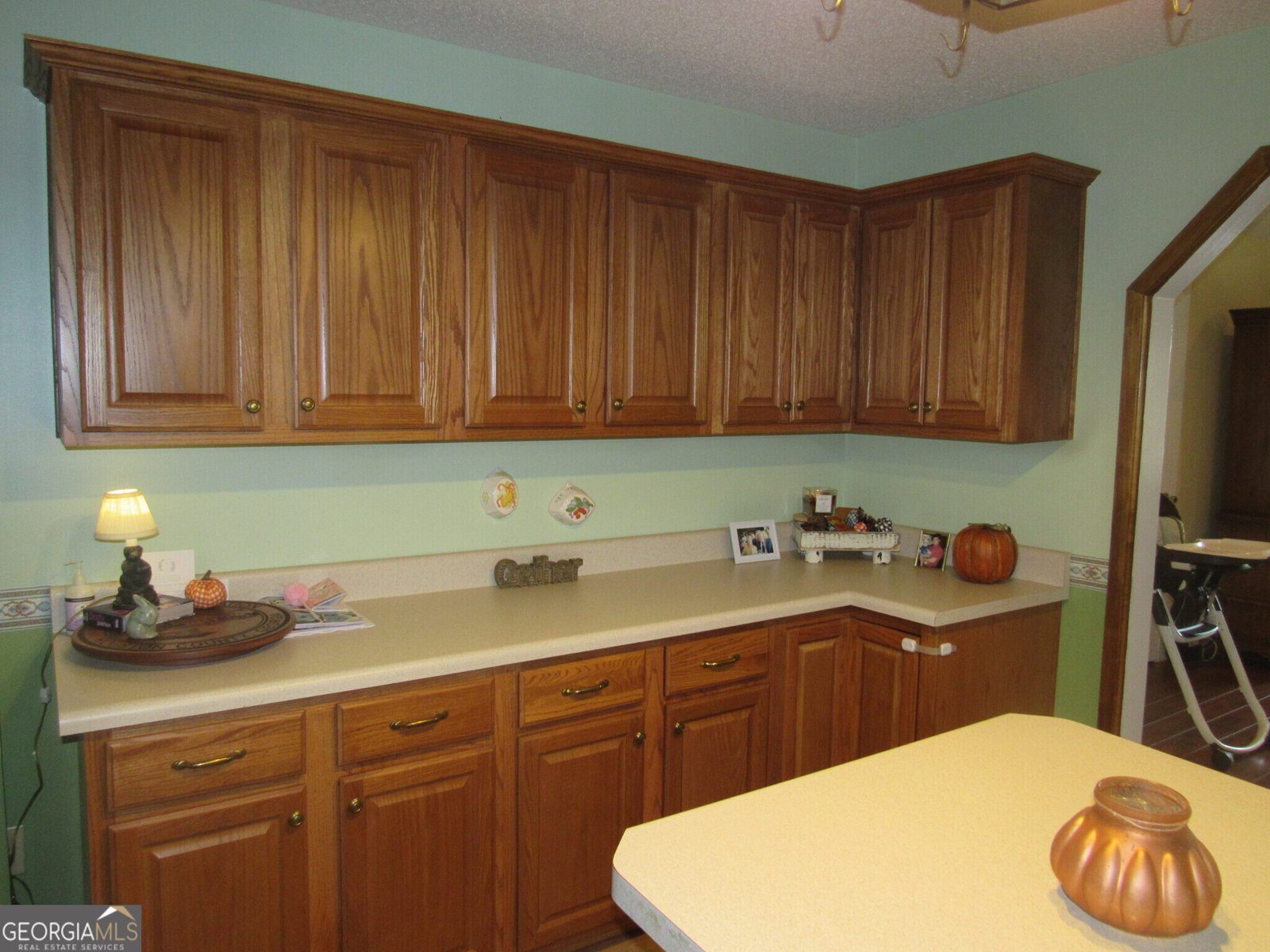 225 Lake Joy Road Perry - 9
