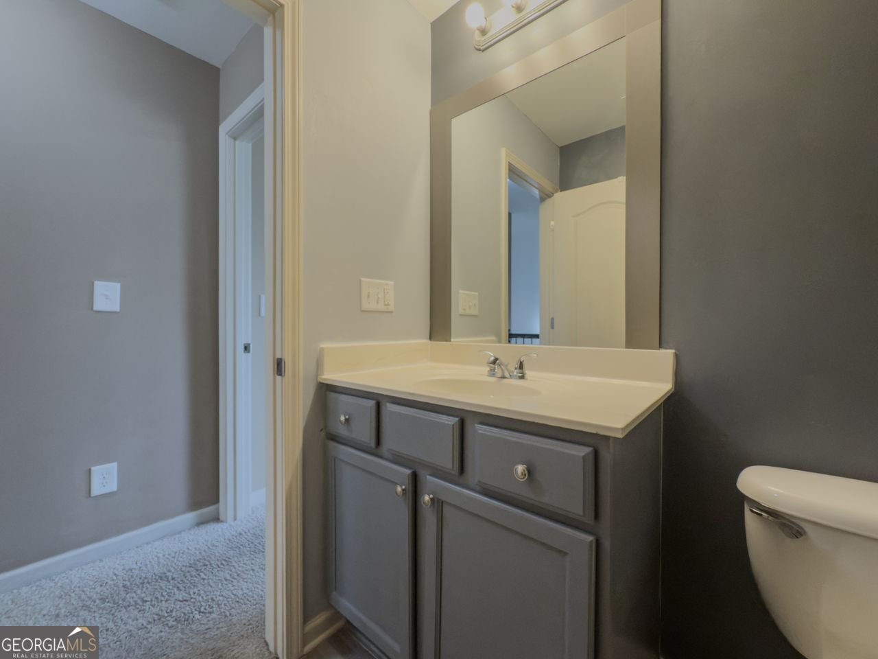 3318 SARDIS BEND Drive Buford - 24