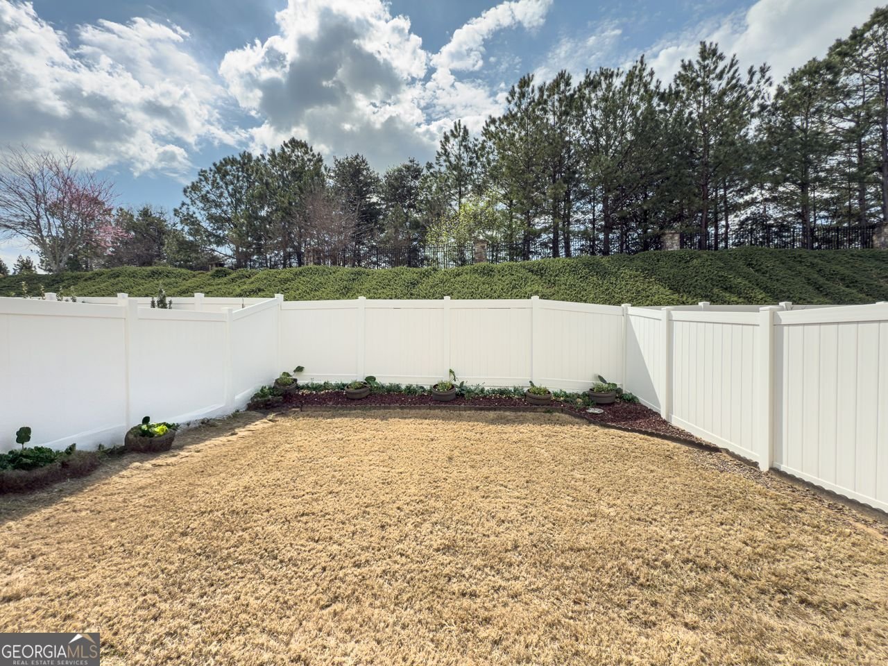 3318 SARDIS BEND Drive Buford - 29