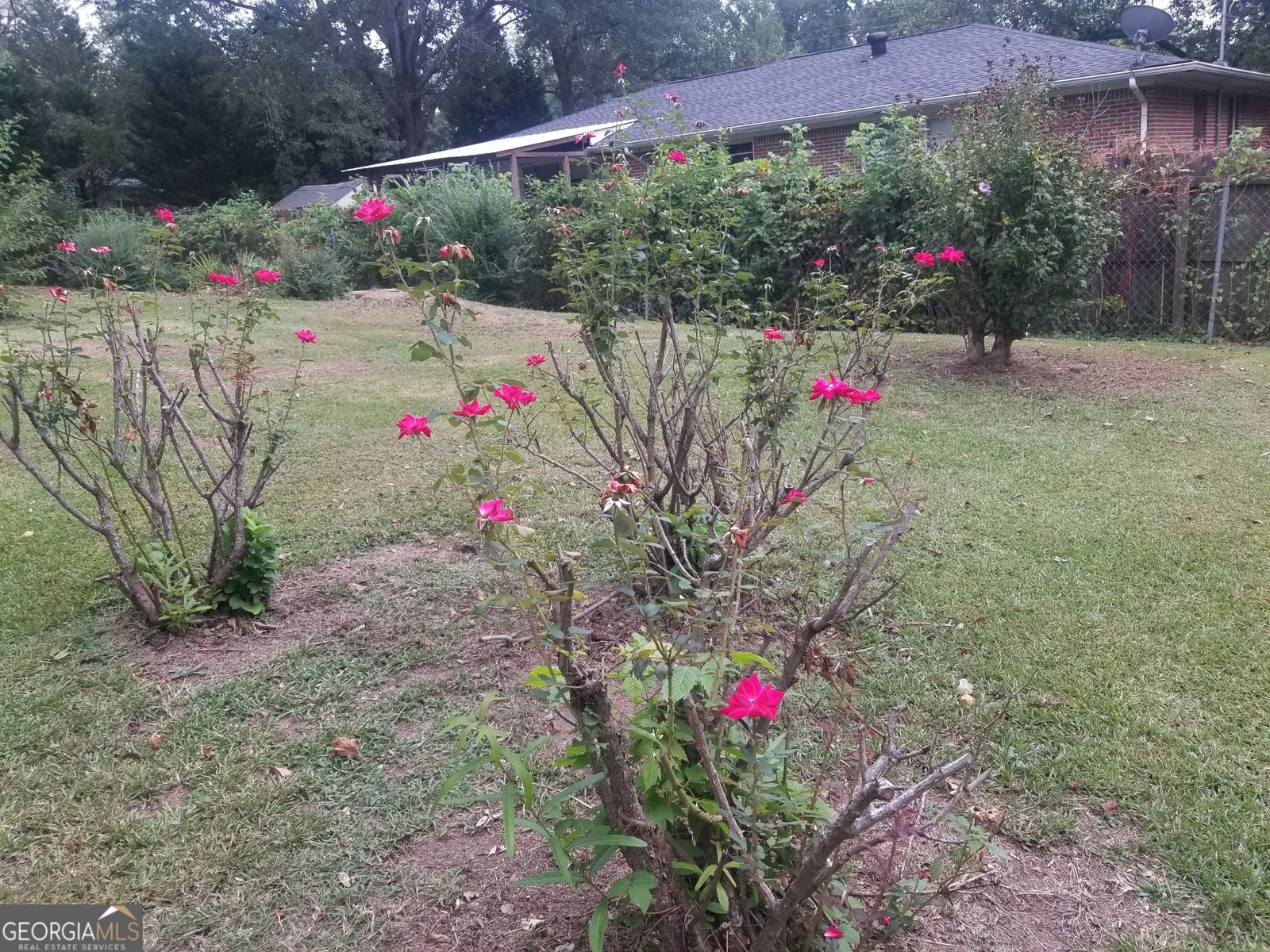 182 Mann Street Tallapoosa - 3