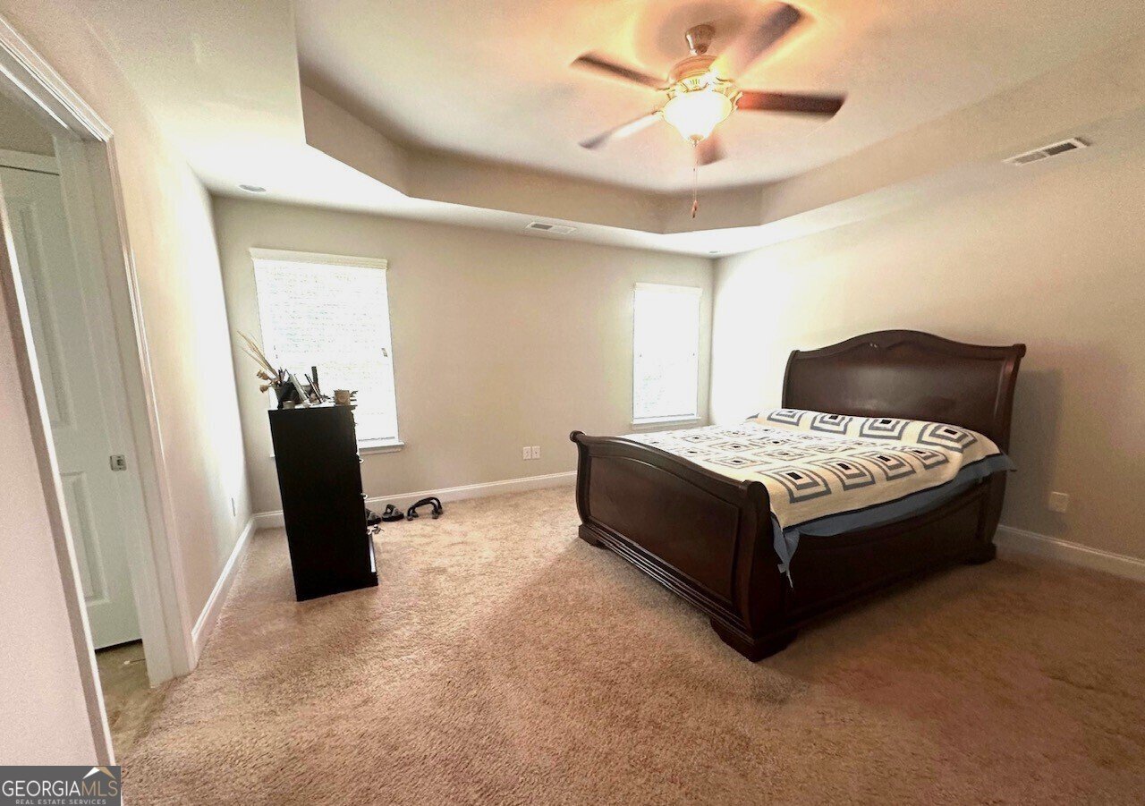 3831 Village Crossing Lane Ellenwood - 12