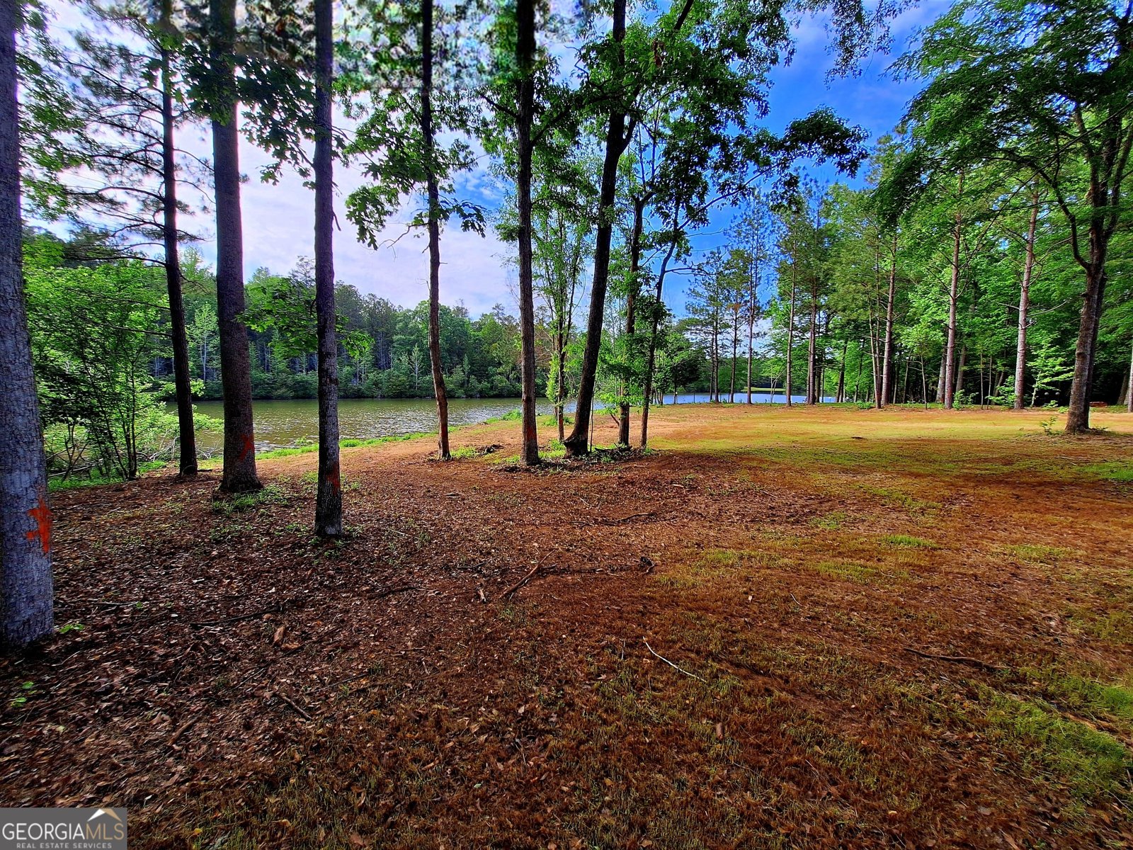 150 Crystal Ridge Drive Milledgeville - 12