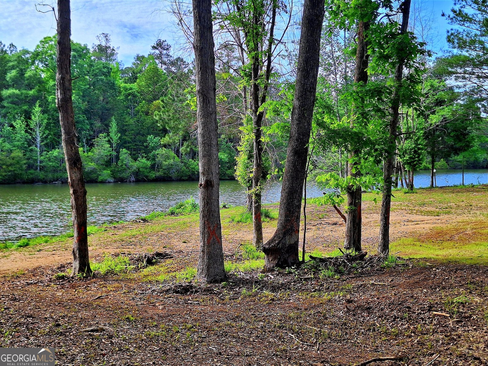150 Crystal Ridge Drive Milledgeville - 13