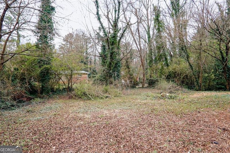 2945 Catalina Drive Decatur - 31