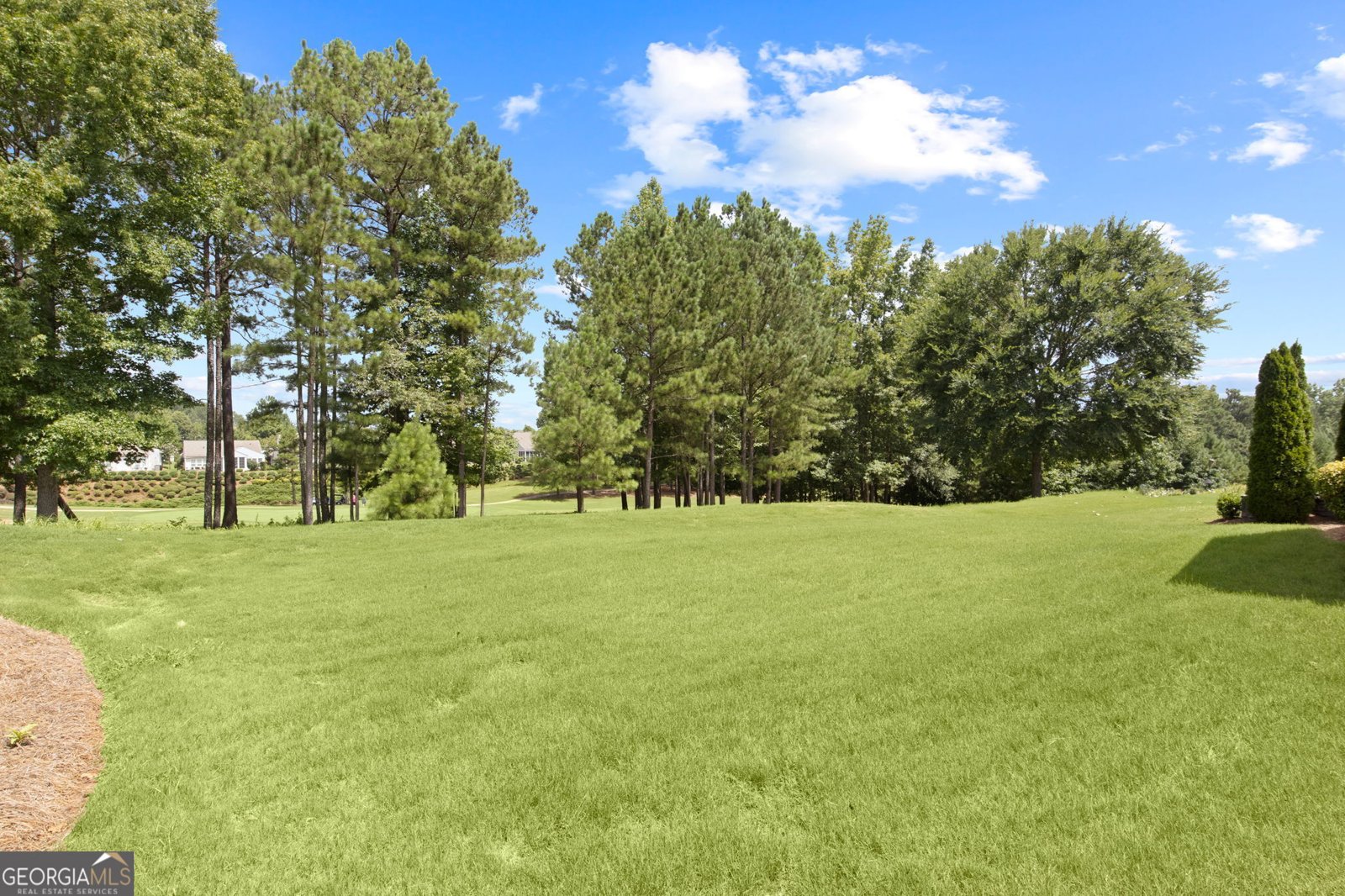 810 Dusky Sap Court Griffin - 28