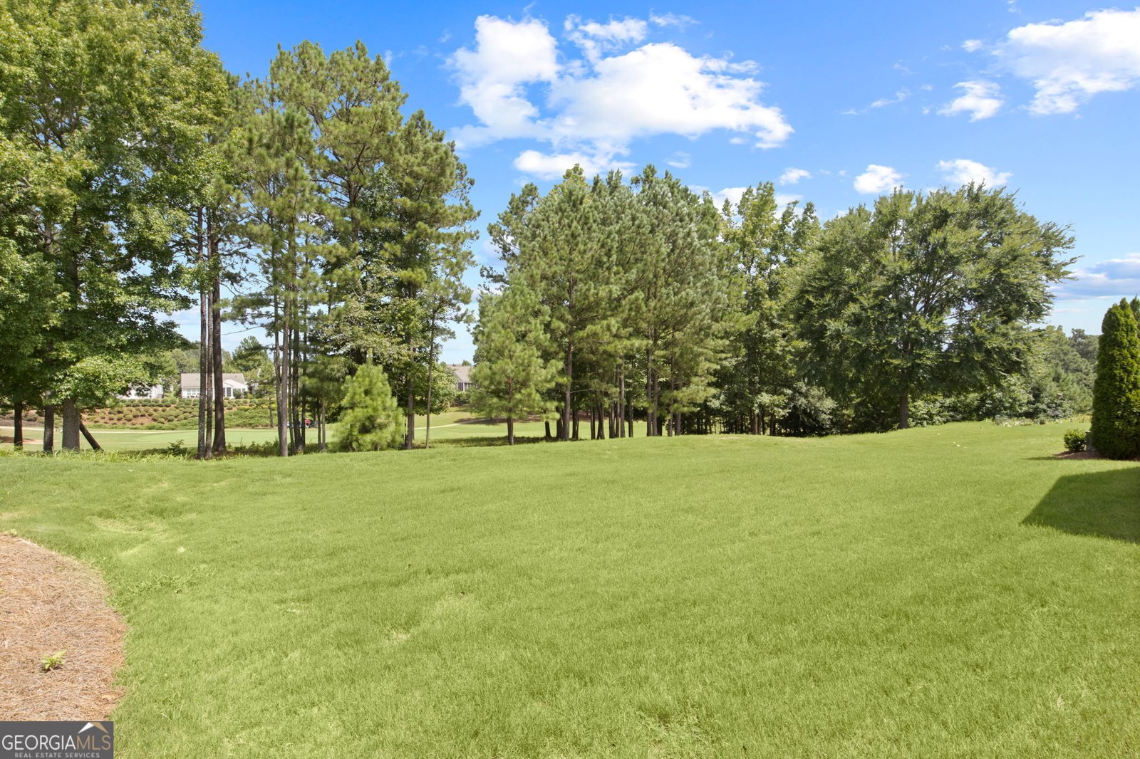 810 Dusky Sap Court Griffin - 29