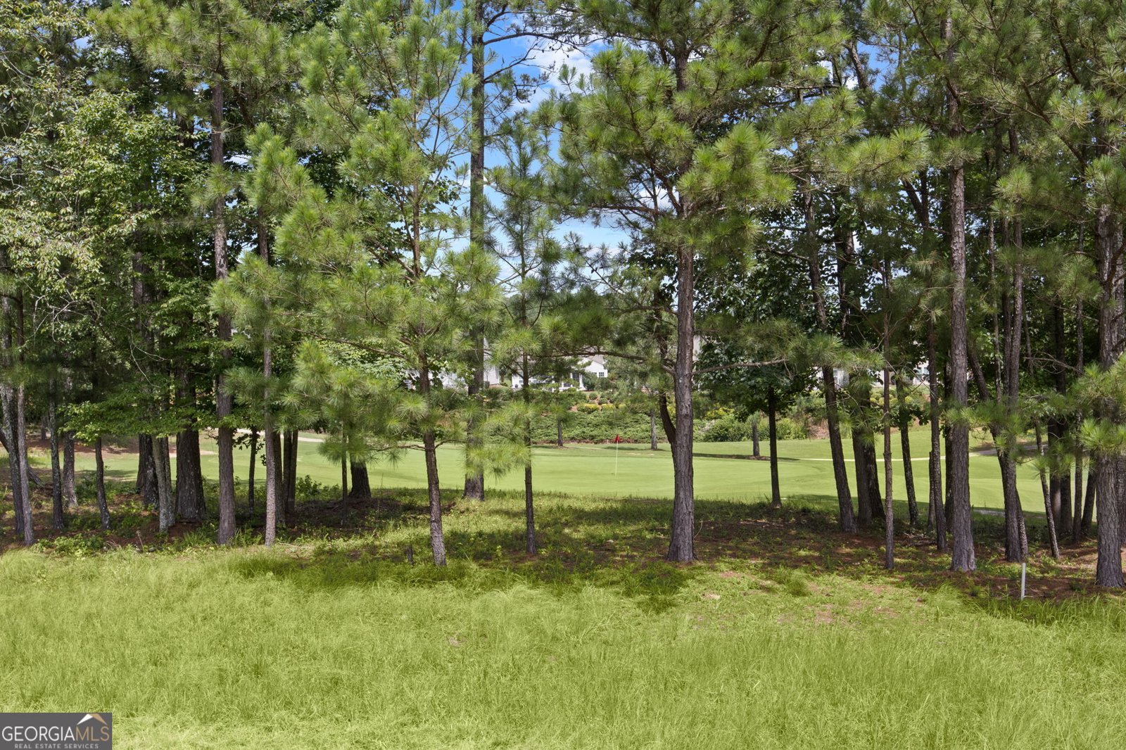 810 Dusky Sap Court Griffin - 33