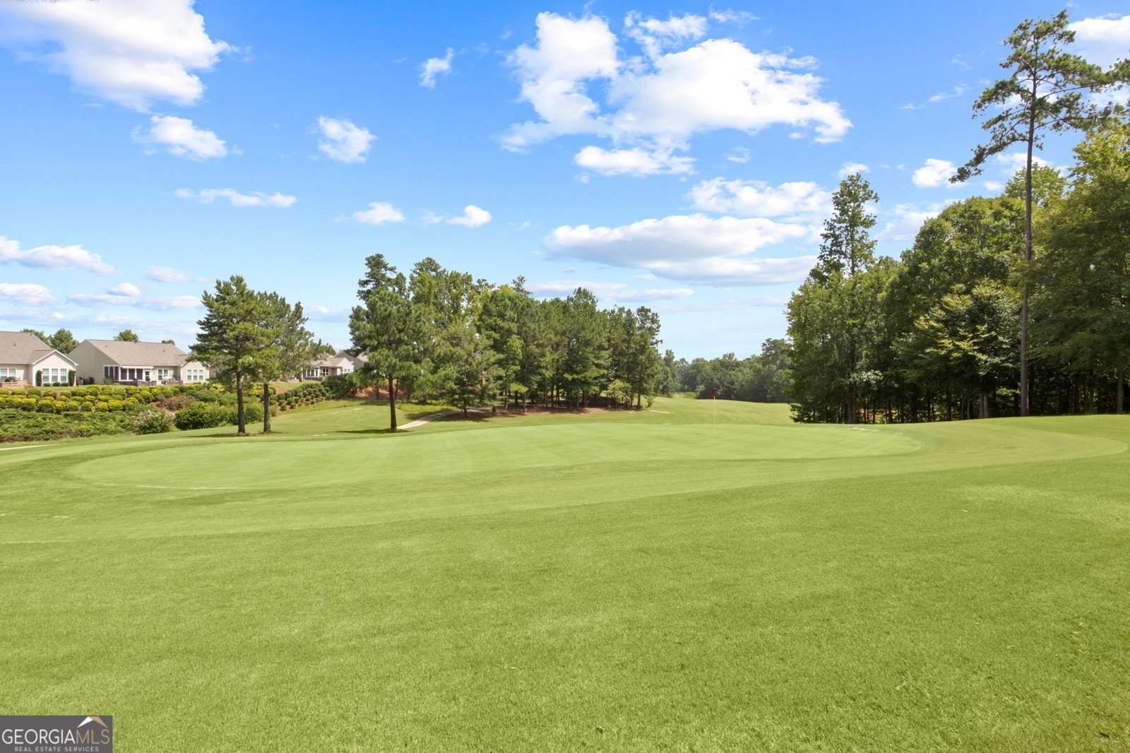 810 Dusky Sap Court Griffin - 35