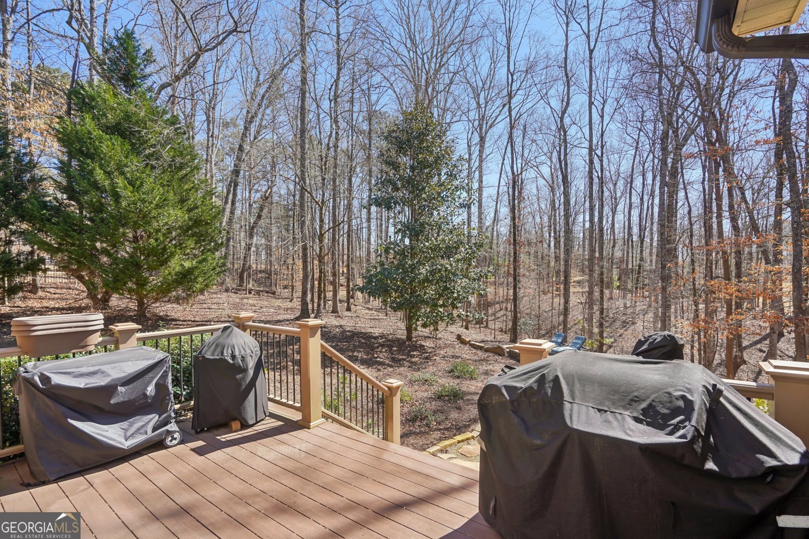42 Clover Leaf Court Newnan - 42