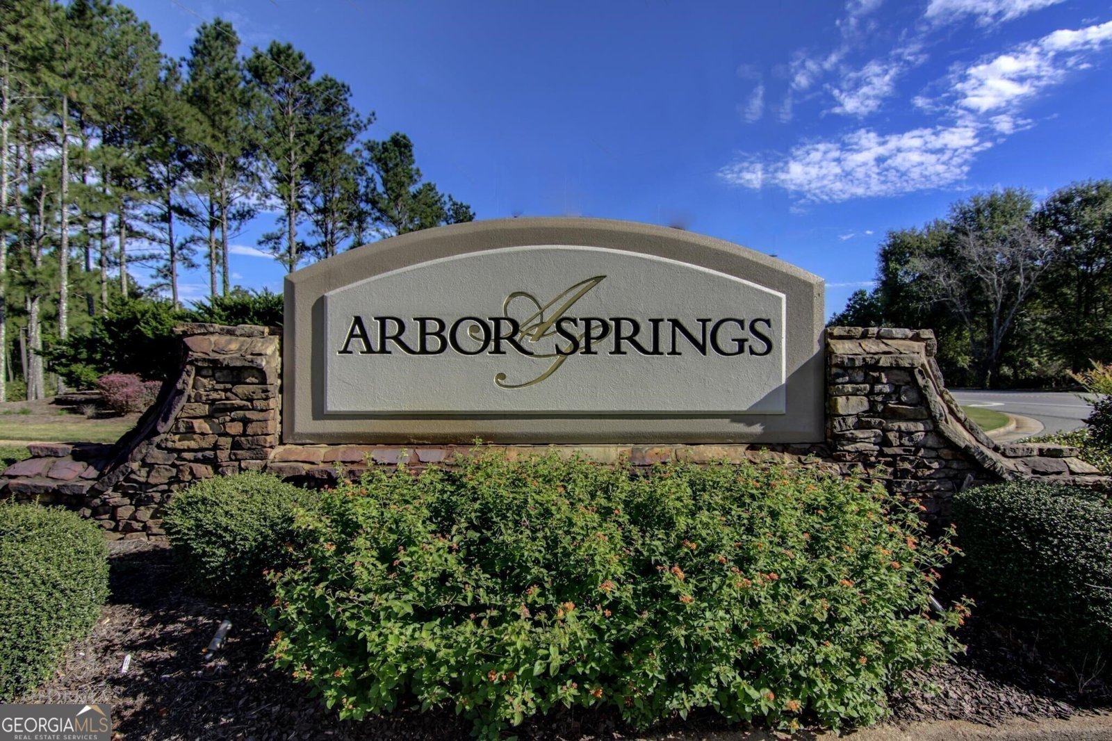 42 Clover Leaf Court Newnan - 53