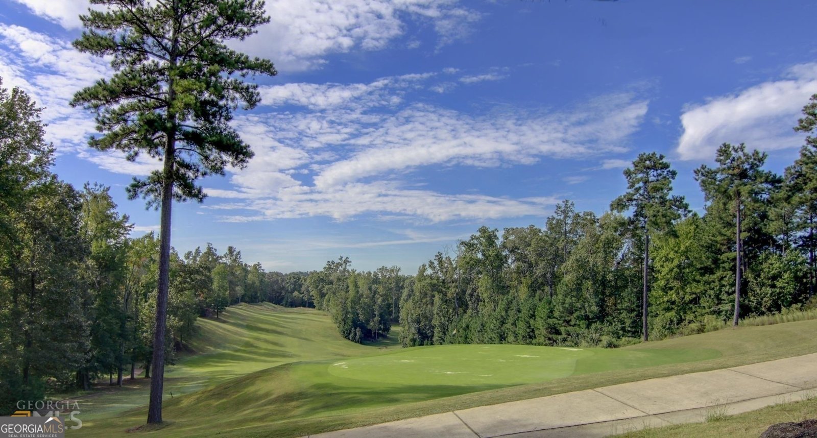 42 Clover Leaf Court Newnan - 54
