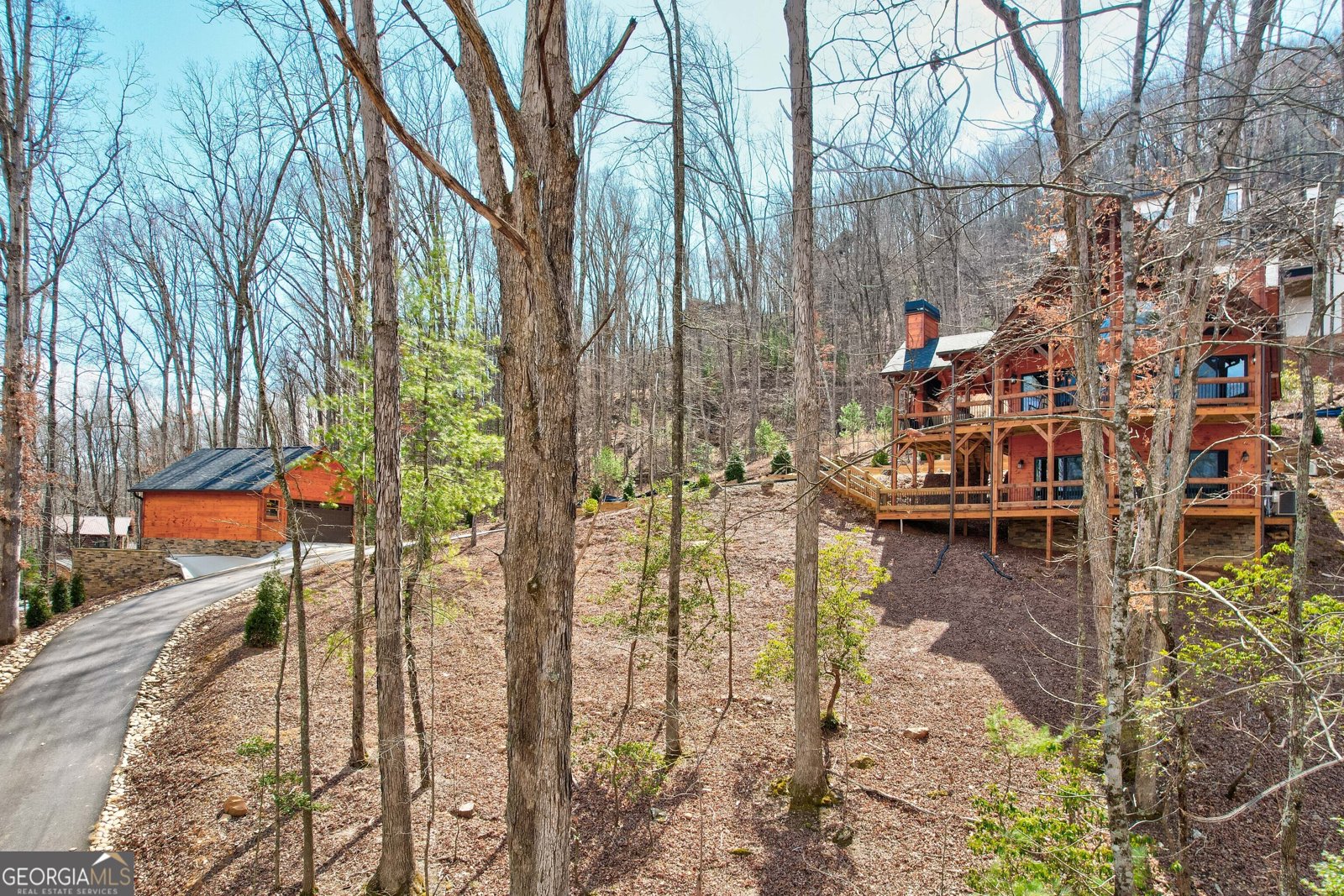 1601 Shady Falls Road Blue Ridge - 2