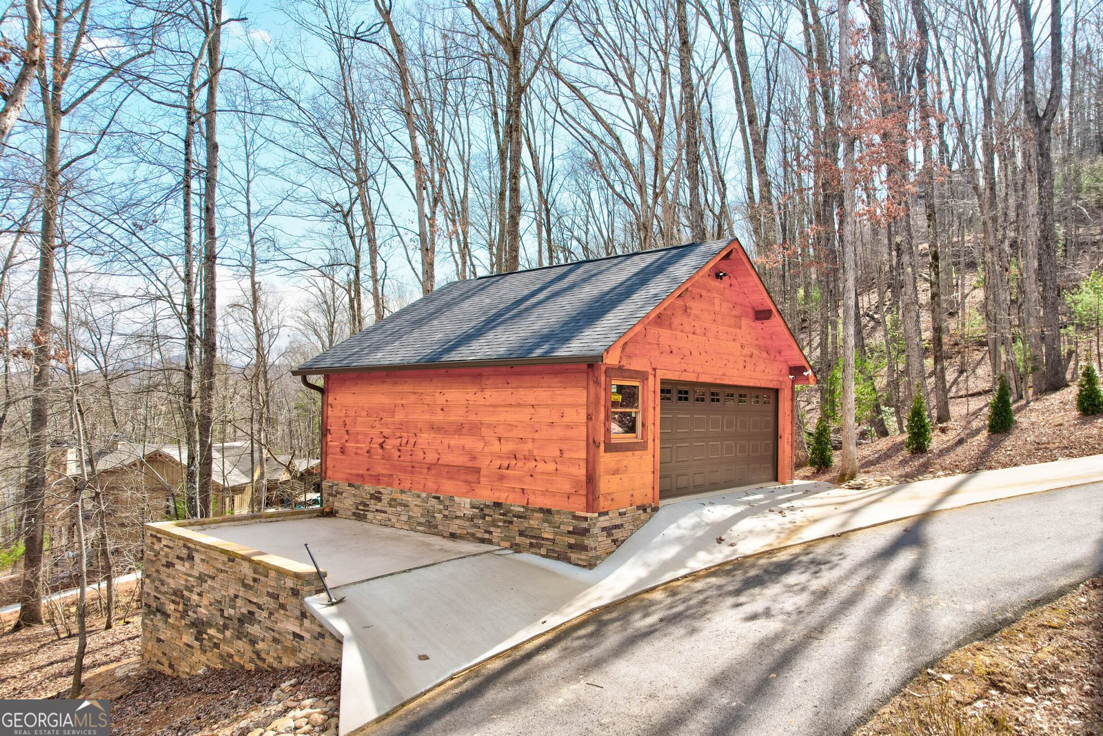 1601 Shady Falls Road Blue Ridge - 3