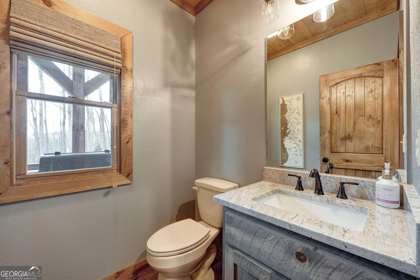 1601 Shady Falls Road Blue Ridge - 30