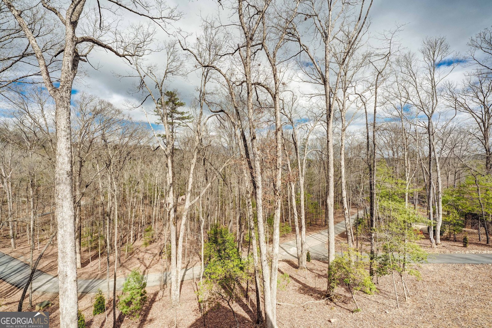 1601 Shady Falls Road Blue Ridge - 75