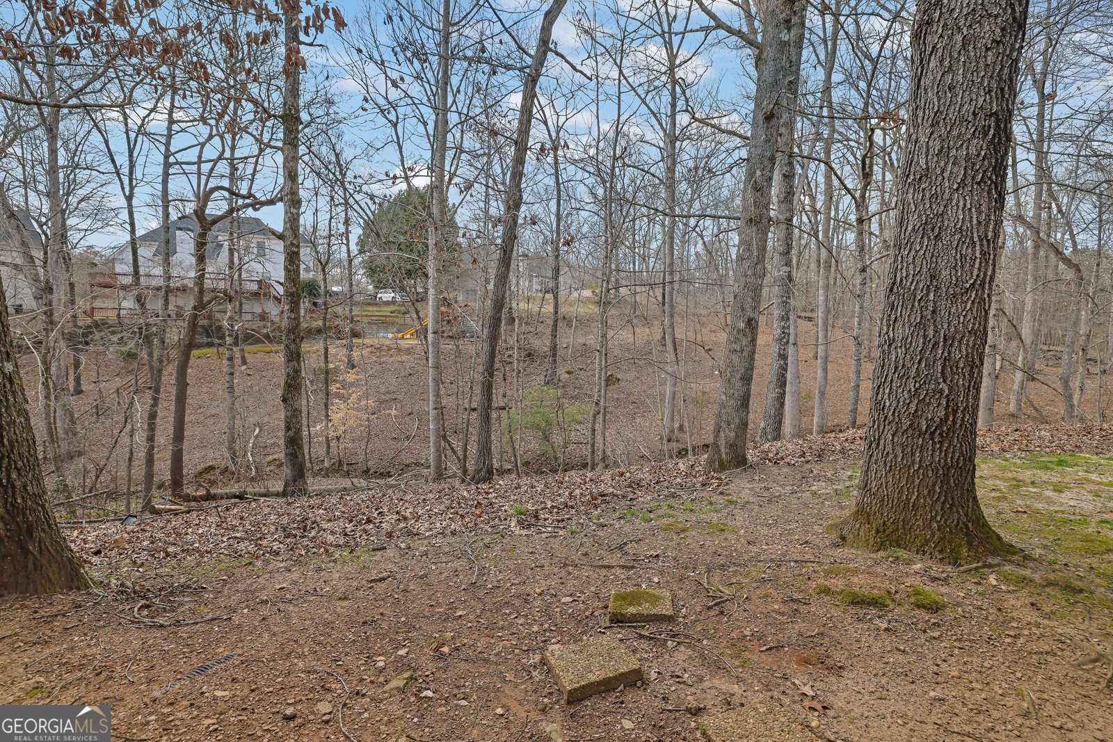 480 Firelite Lane Suwanee - 29