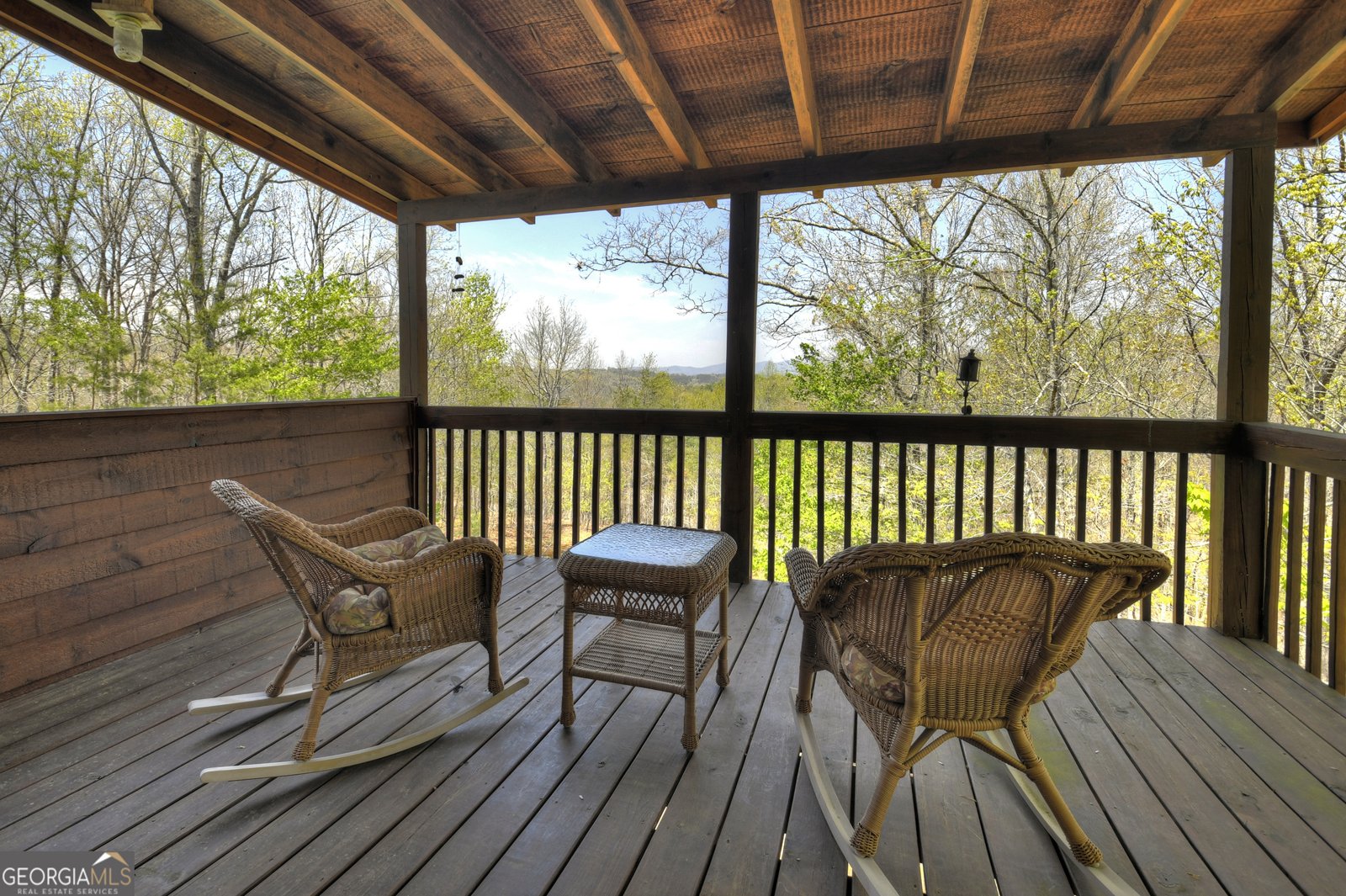 5 Moccasin Trail Mineral Bluff - 30