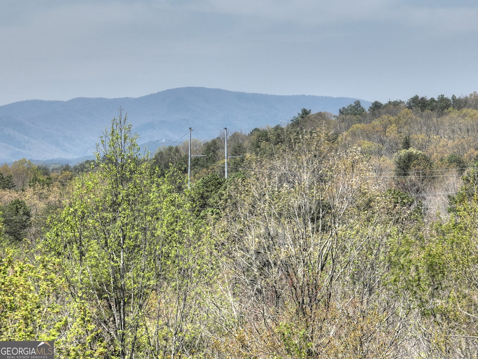 5 Moccasin Trail Mineral Bluff - 44
