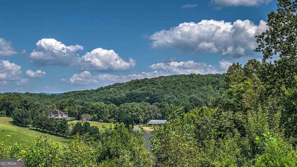 2740 Aska Road Blue Ridge - 4