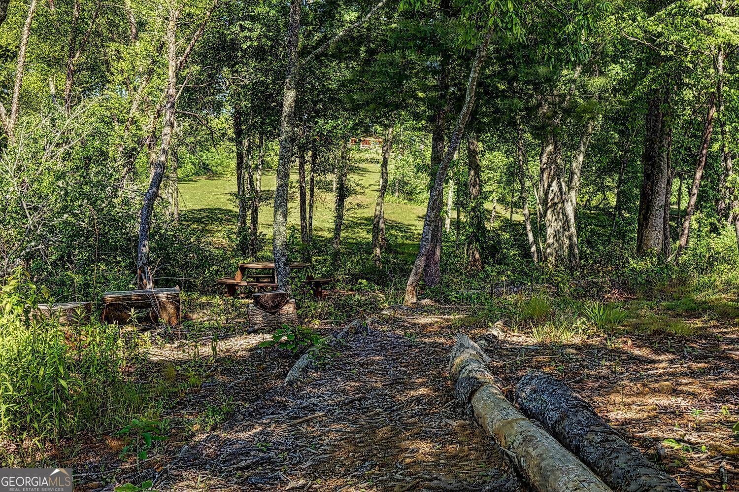 359 New Water Way Blairsville - 36