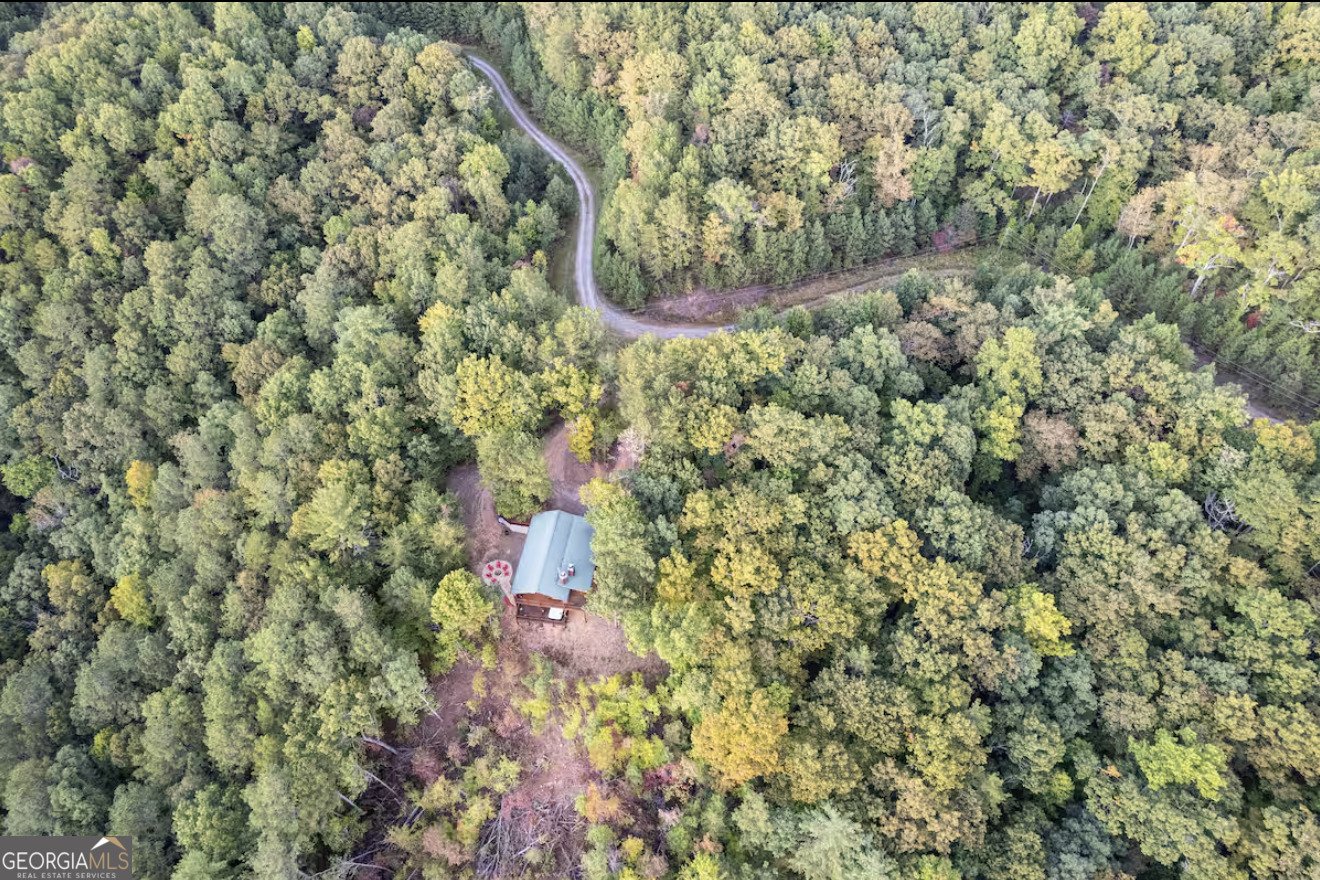 663 Lakeland Drive Ellijay - 3