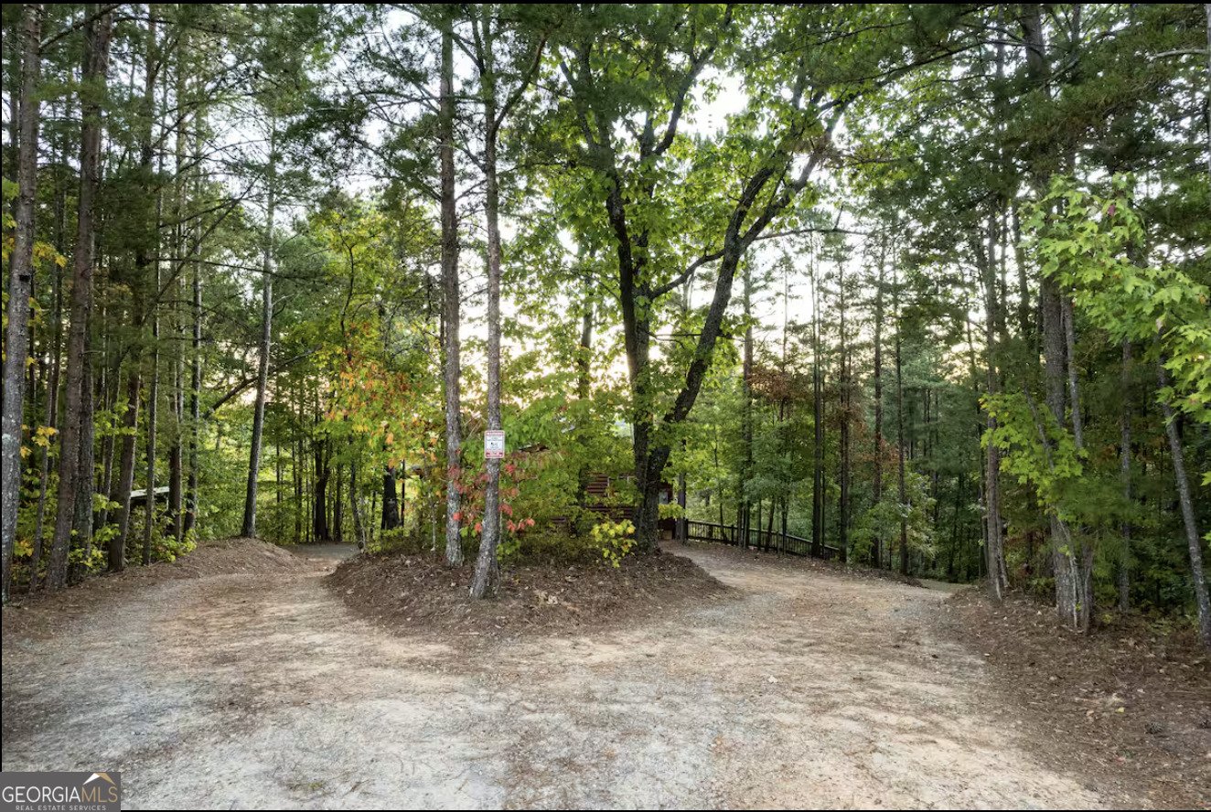 663 Lakeland Drive Ellijay - 4