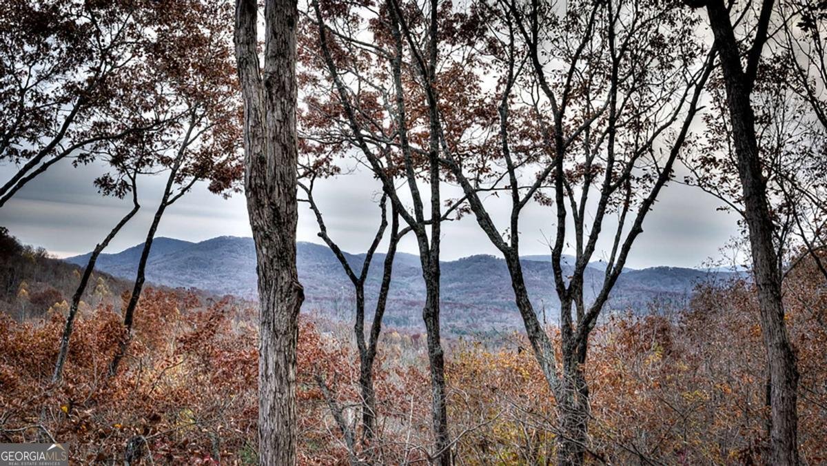 36 Stardust Lane Morganton - 15