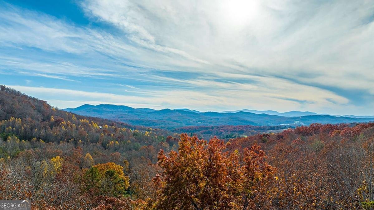 36 Stardust Lane Morganton - 30