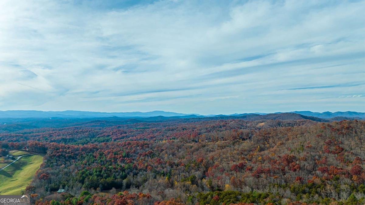 36 Stardust Lane Morganton - 32