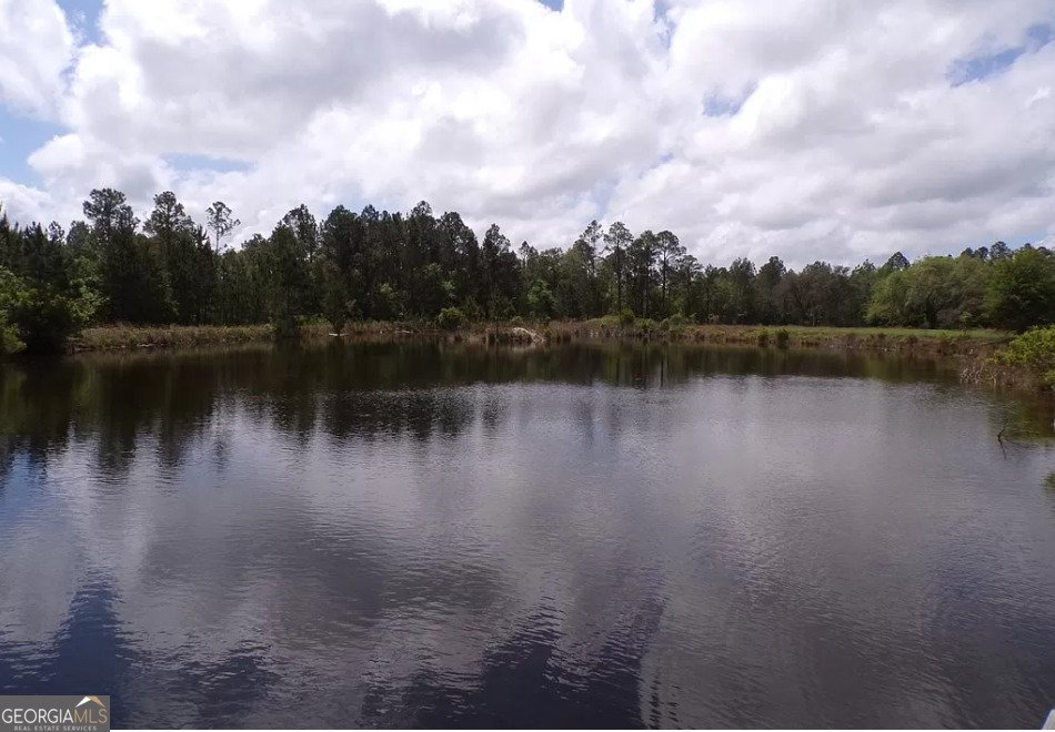 2606 Beechwood Drive Jesup - 4