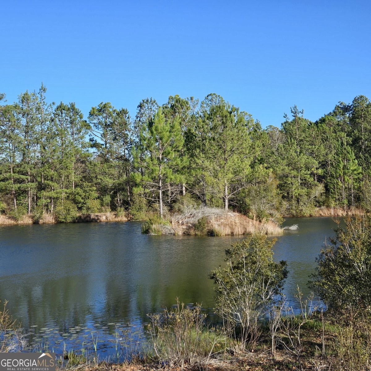 2606 Beechwood Drive Jesup - 8
