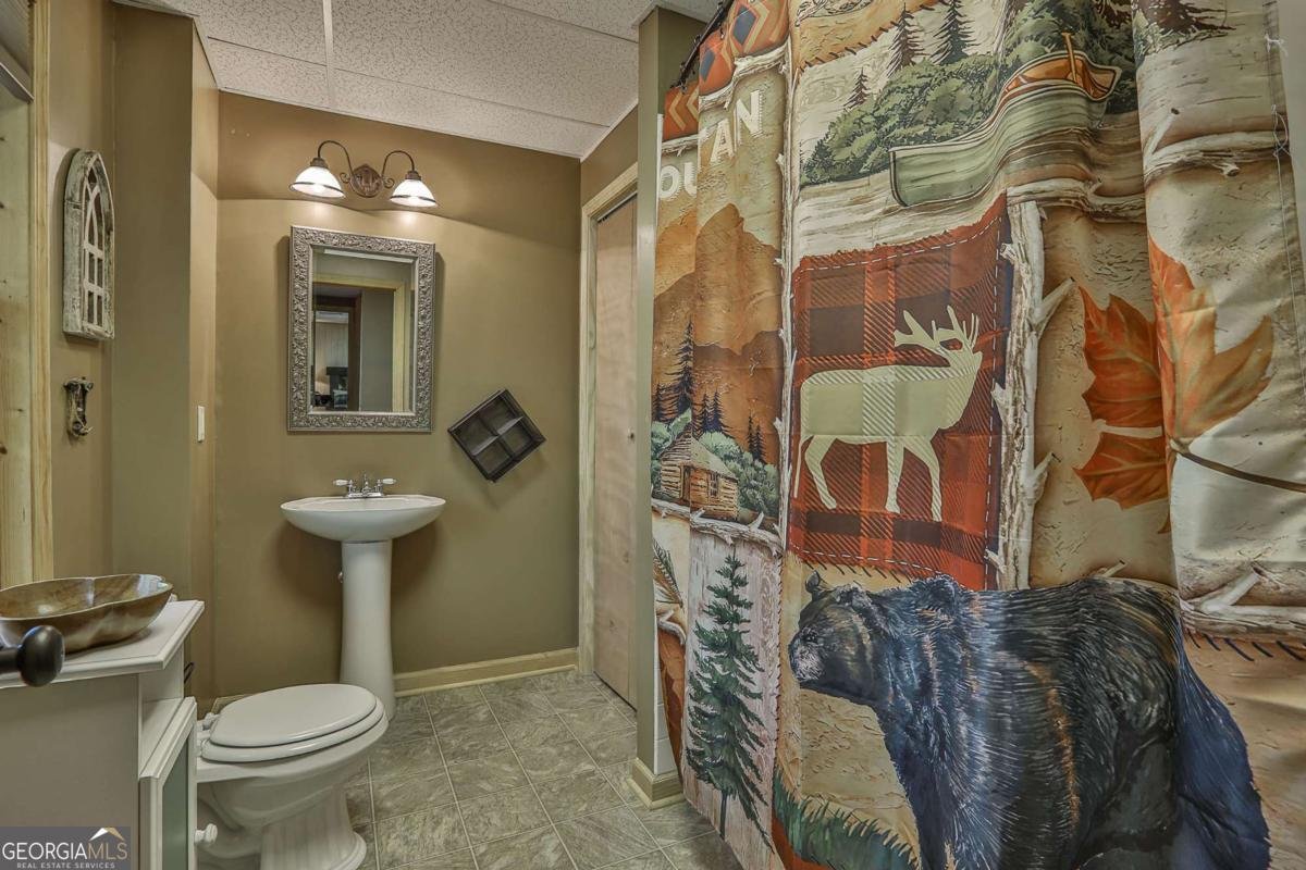 39 Nadir Court Ellijay - 29