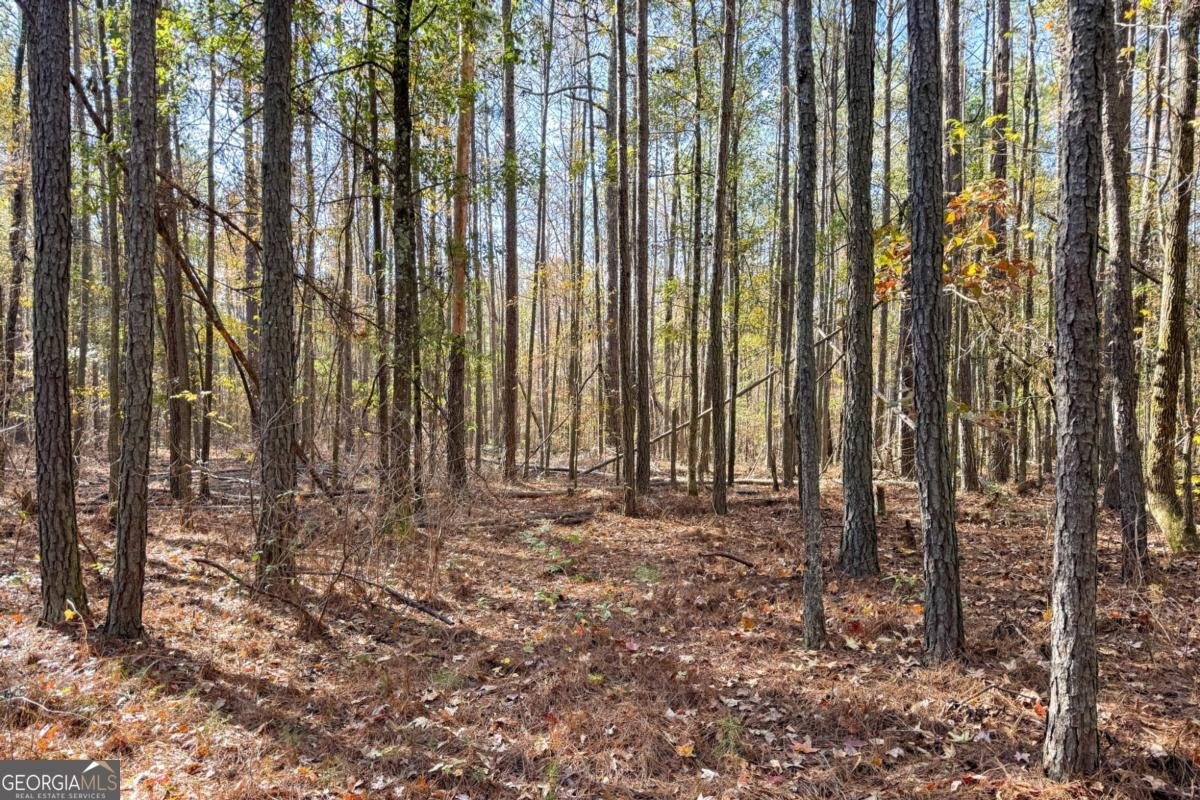 0 Crawford Road Barnesville - 1