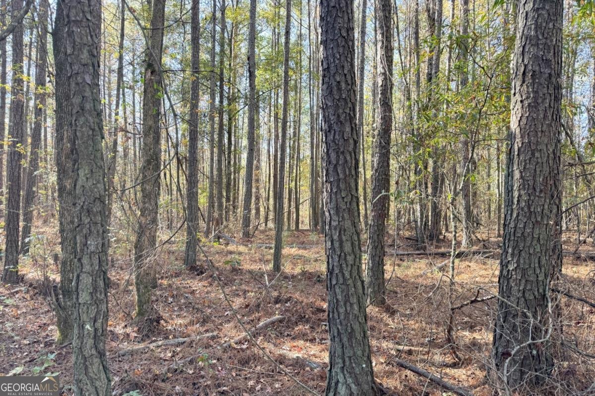 0 Crawford Road Barnesville - 10