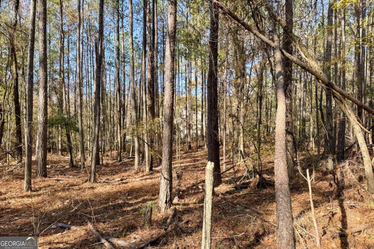 0 Crawford Road Barnesville - 2