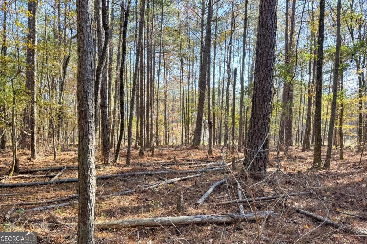 0 Crawford Road Barnesville - 3