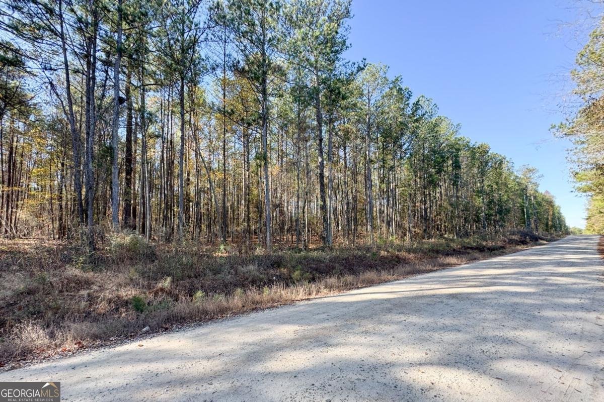 0 Crawford Road Barnesville - 5