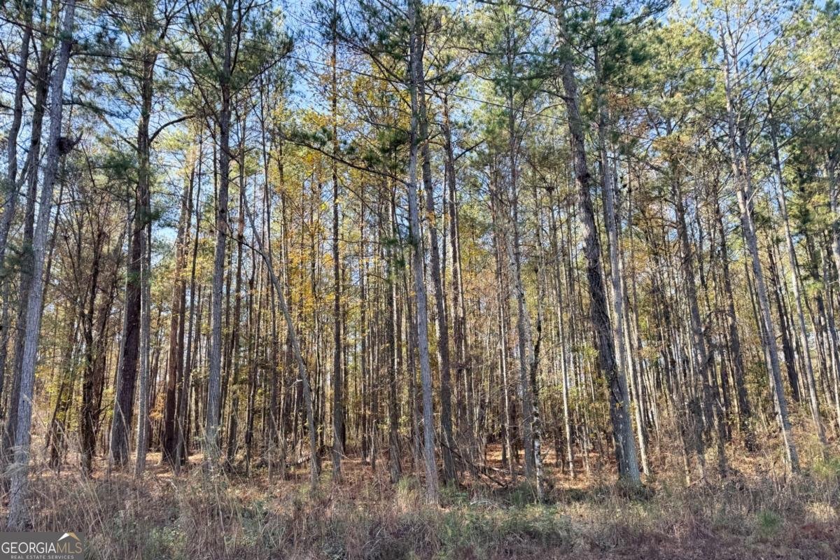 0 Crawford Road Barnesville - 6