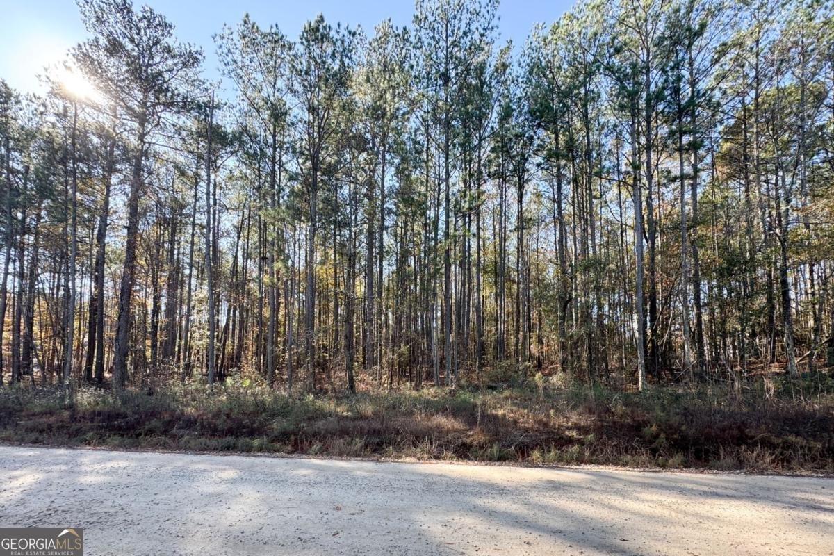0 Crawford Road Barnesville - 7