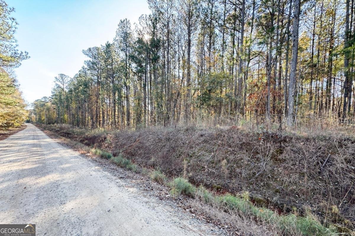 0 Crawford Road Barnesville - 8