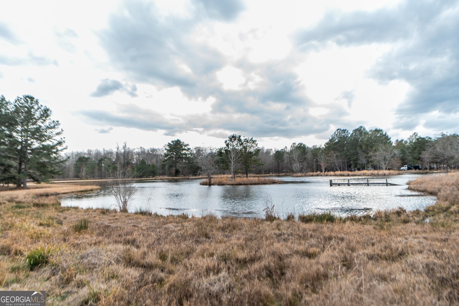 12701 Ga Highway 96 Fort Valley - 20