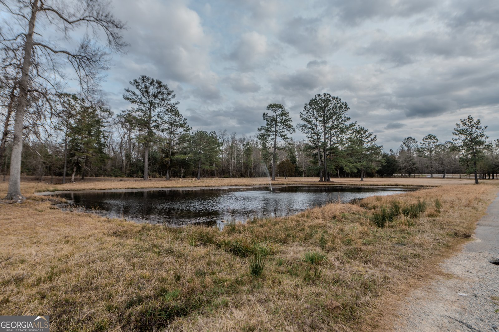 12701 Ga Highway 96 Fort Valley - 22
