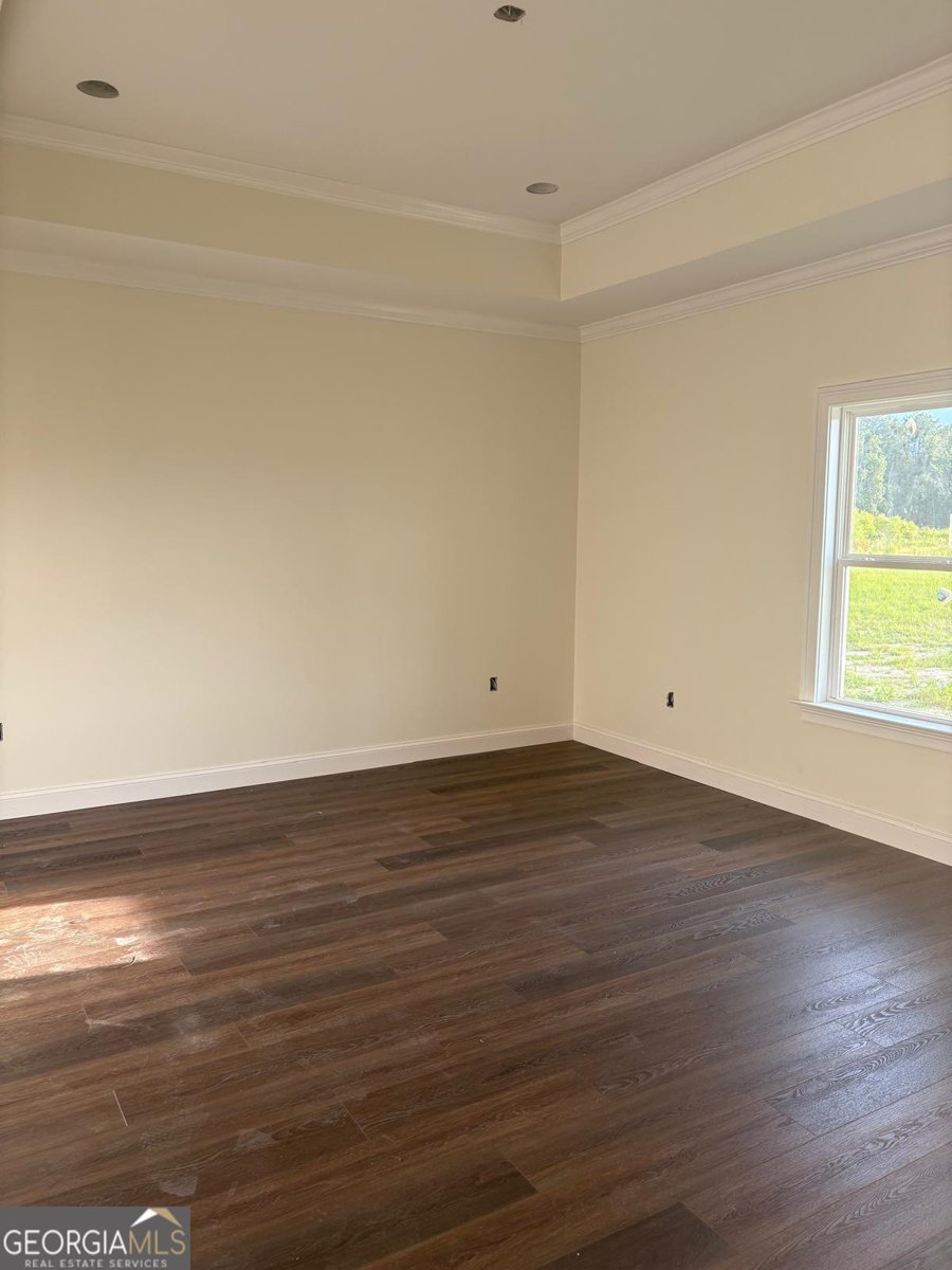 4419 Altamaha School Road Baxley - 13