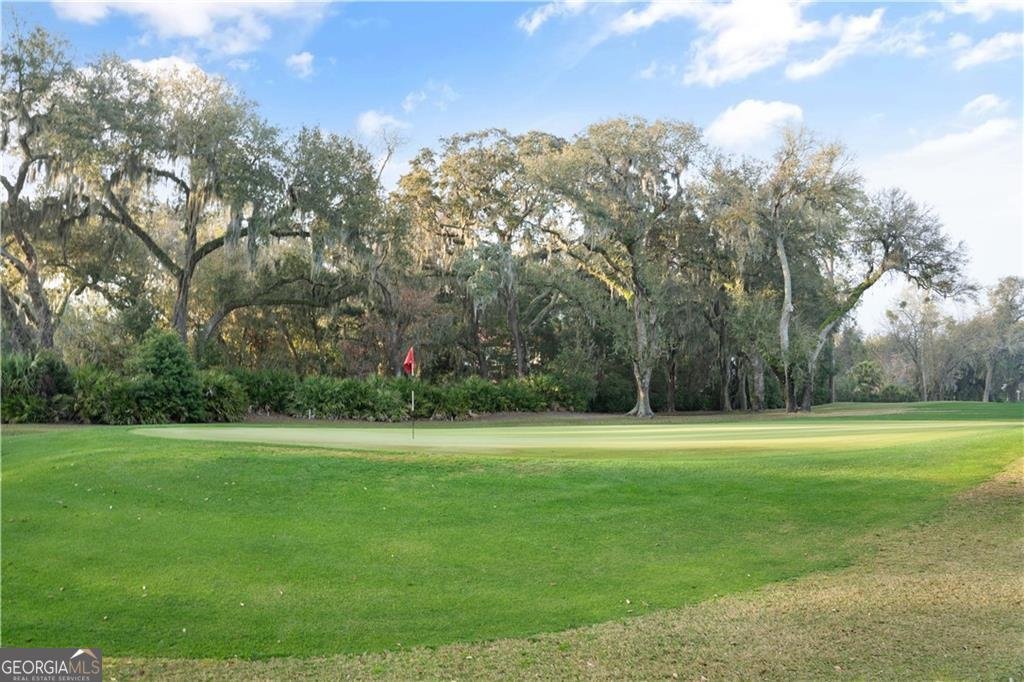 316 Forest Oaks St. Simons - 63